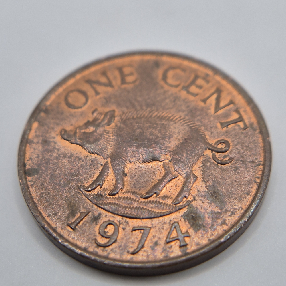 VINTAGE 1974 Bermuda ONE CENT Coin with Wild Boar Design